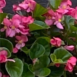 Meet your Posher, May